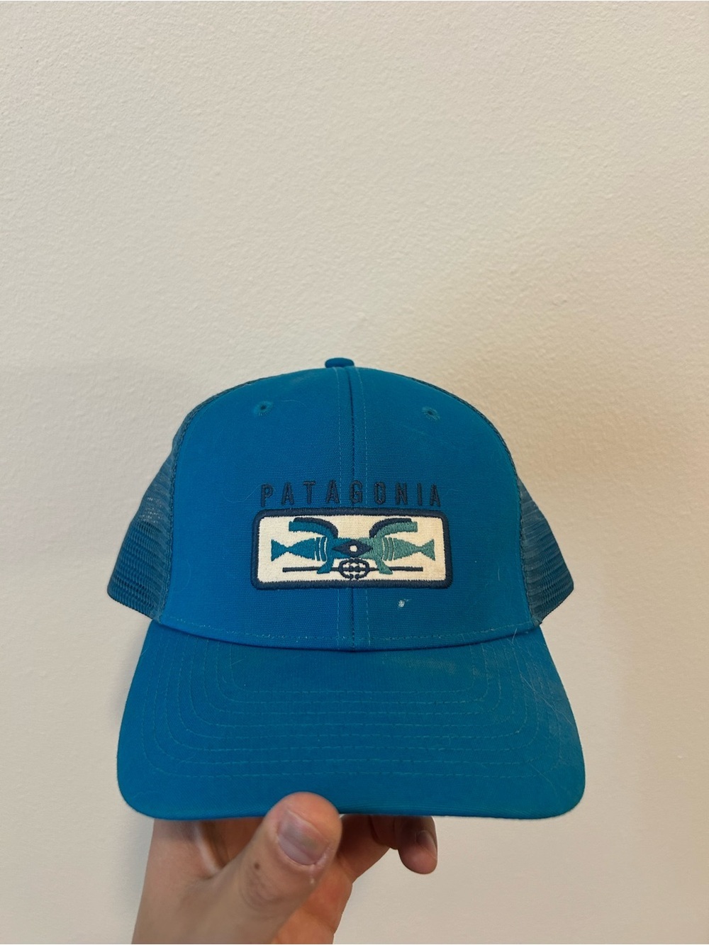 Patagonia Teal Fish Patch Trucker Hat
